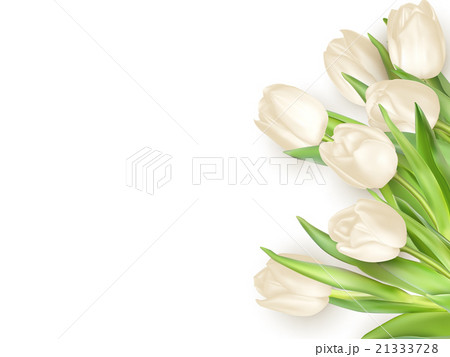 Isolated tulip frame. EPS 10 21333728