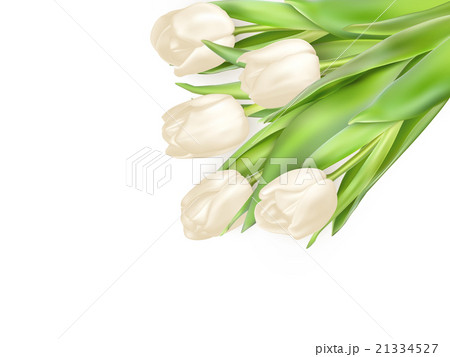 Tulips decorative background. EPS 10 21334527