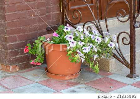 Flowers in vase near ornate forged door fence 21335995