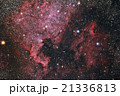 北アメリカ星雲とペリカン星雲 21336813