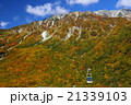 立山黒部アルペンルートの紅葉2 21339103