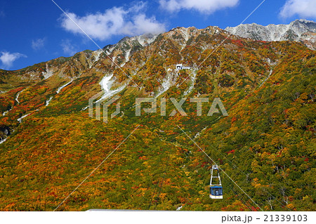 立山黒部アルペンルートの紅葉2 21339103