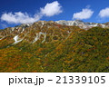 立山黒部アルペンルートの紅葉3 21339105
