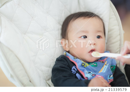 7 months old 7 months old 21339579