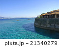 沖縄の海と赤瓦 21340279