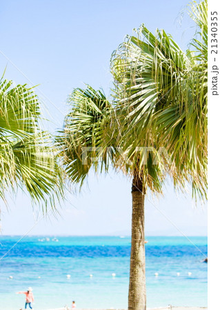 南国イメージ 21340355