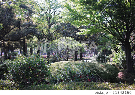 横浜公園の散策  21342166