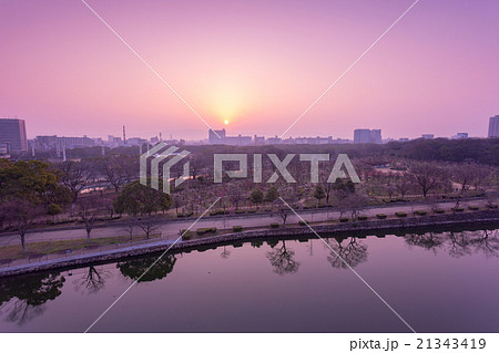 大阪城公園梅林と日の出 大阪城公園梅林と日の出 21343419