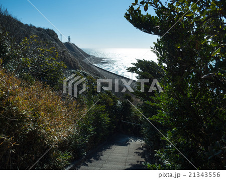 御前崎海岸 21343556