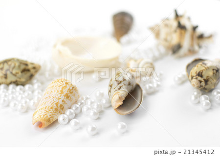 pearl beads and seashells pearl beads and seashells 21345412