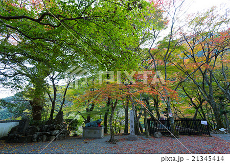 大威徳寺 境内の紅葉 大威徳寺 境内の紅葉 21345414