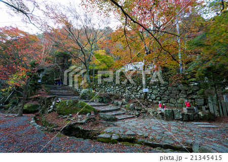 大威徳寺 境内の紅葉 21345415