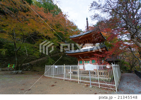 大威徳寺 多宝塔の紅葉 大威徳寺 多宝塔の紅葉 21345548