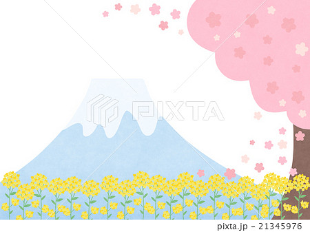 富士山と桜と菜の花の風景のイラスト素材