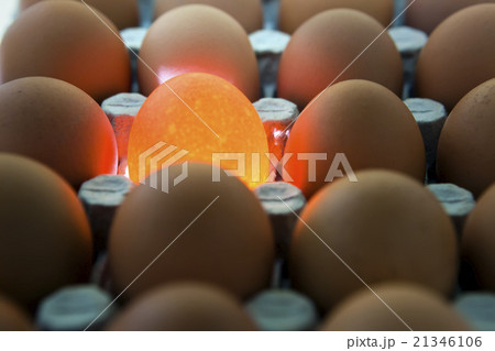 eggs, one egg it is illuminated eggs, one egg it is illuminated 21346106