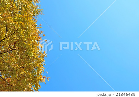 秋空 秋空 21346439
