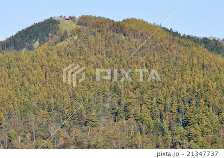 秋の雲取山 21347737