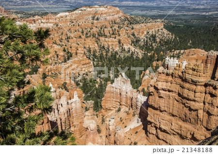 Wiew of Bryce Canyon , Utah, USA 21348188