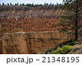 Wiew of Bryce Canyon , Utah, USA 21348195
