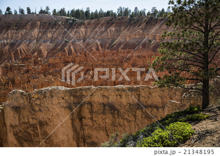 Wiew of Bryce Canyon , Utah, USA 21348195