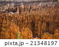 Wiew of Bryce Canyon , Utah, USA 21348197