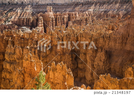 Wiew of Bryce Canyon , Utah, USA 21348197