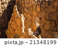 Wiew of Bryce Canyon , Utah, USA 21348199