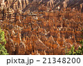 Wiew of Bryce Canyon , Utah, USA 21348200