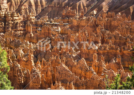 Wiew of Bryce Canyon , Utah, USA 21348200