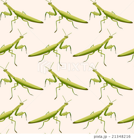 Seamless pattern made of mantises Seamless pattern made of mantises 21348216