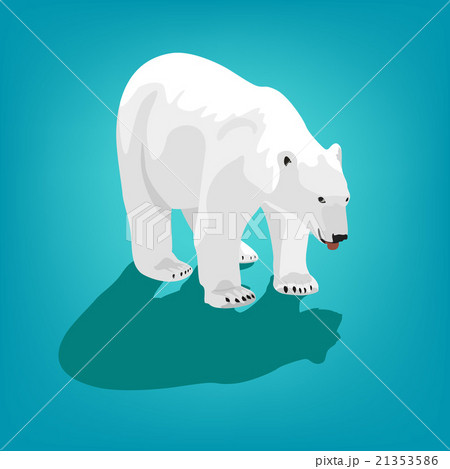 illustration of polar bear illustration of polar bear 21353586