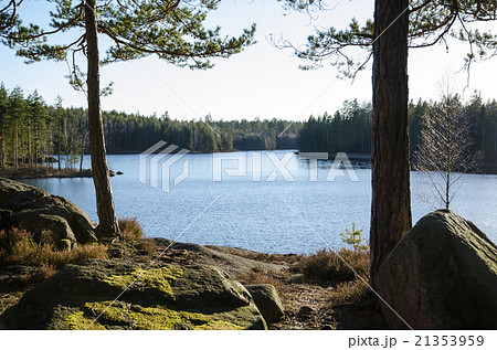 Rocks and tree trunks by lakeside 21353959