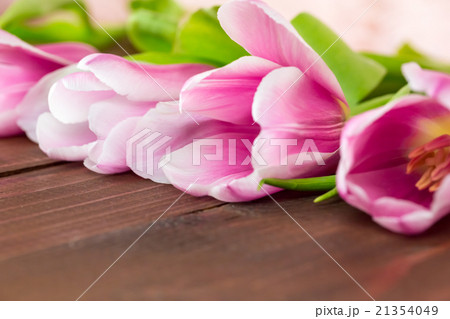 beautiful pink tulips lying on the burlap  21354049