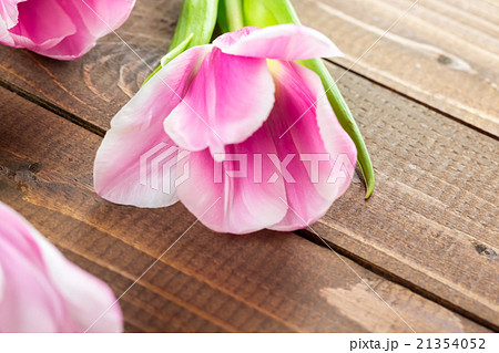 beautiful pink tulips lying on the burlap beautiful pink tulips lying on the burlap 21354052