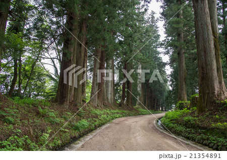 日光街道 杉並木路 日光街道 杉並木路 21354891