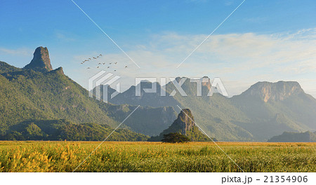 Bung Bua at khao sam roi yod , Thailand 21354906