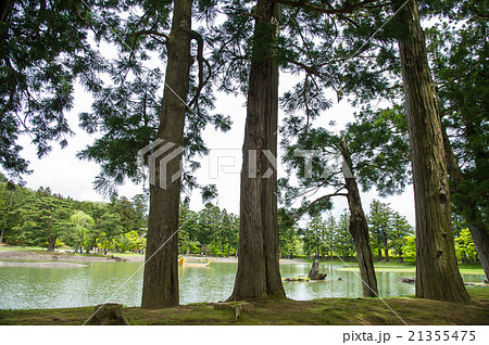 平泉毛越寺 浄土式庭園 平泉毛越寺 浄土式庭園 21355475