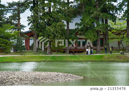 平泉毛越寺 浄土式庭園の写真素材