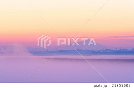 渡良瀬湿原の朝 21355605