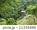 緑 21356886