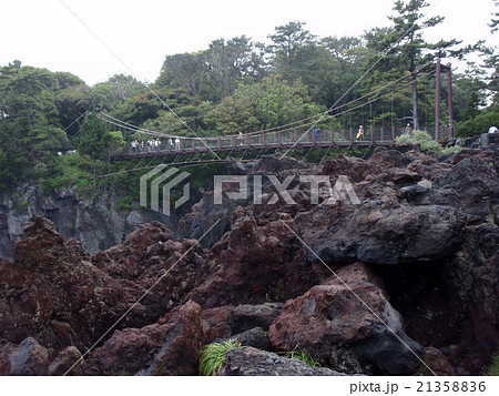 門脇吊橋（城ヶ崎海岸／静岡県伊東市） 21358836