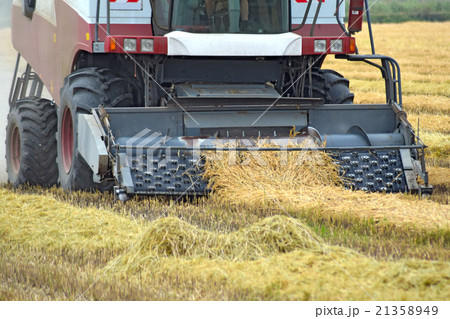 Collection sloping rice threshing 21358949