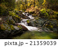 Brandy Creek in Whiskeytown 21359039