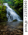 Whiskeytown Falls 21359040