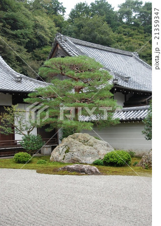 南禅寺の「石庭」（南禅寺／京都市左京区） 21359347