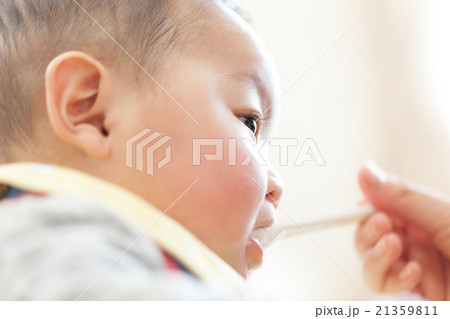 6 months old 6 months old 21359811