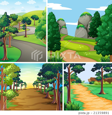 Nature scene with roads and forest Nature scene with roads and forest 21359891