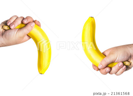 concept of potency, penis 21361568
