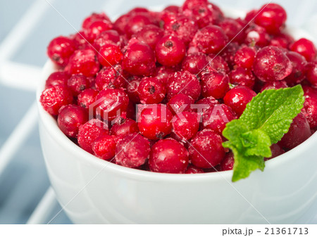 Frozen red currants on white 21361713