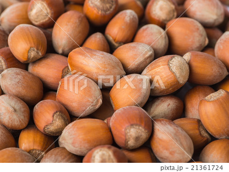 hazelnut hazelnut 21361724